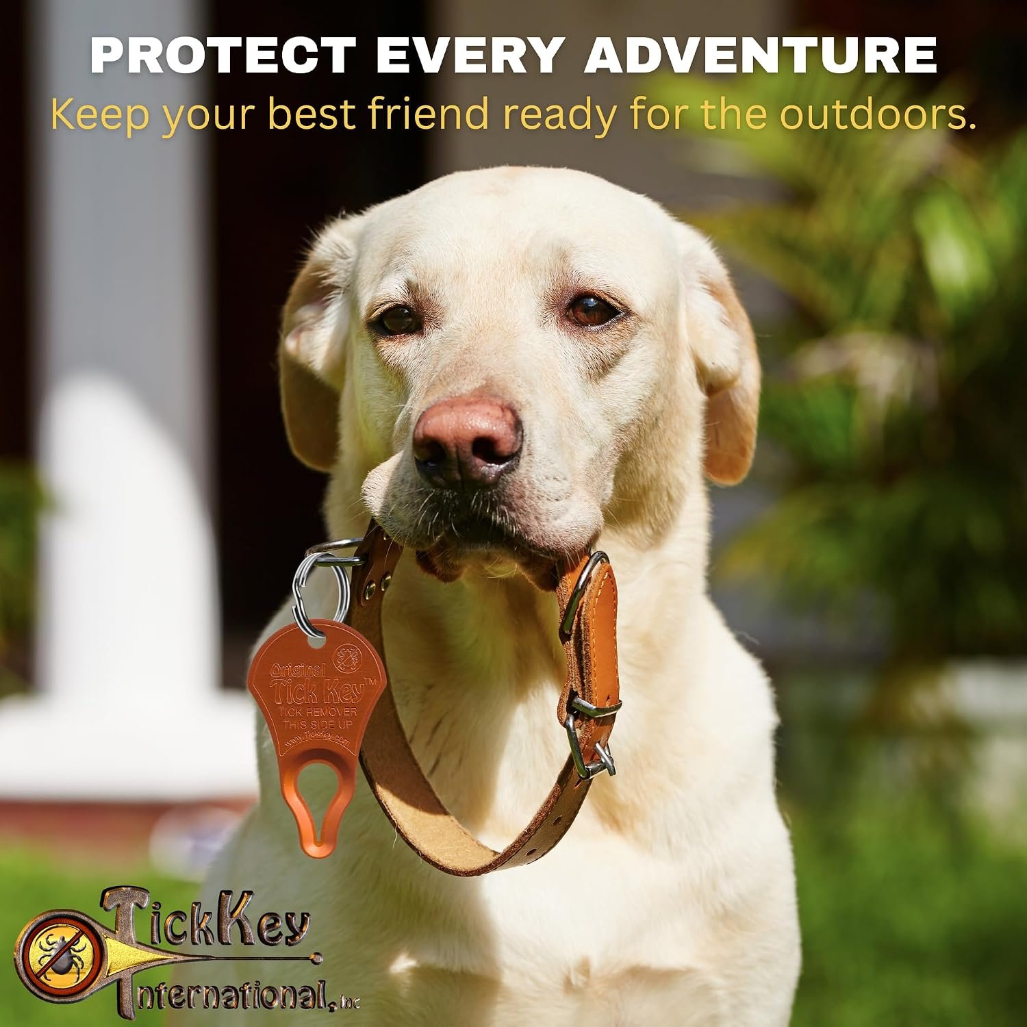 Tick Key - The Original - Image 4